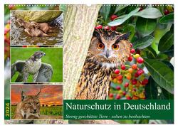 Naturschutz in Deutschland (Wandkalender 2024 DIN A2 quer), CALVENDO Monatskalender von Kleemann,  Claudia