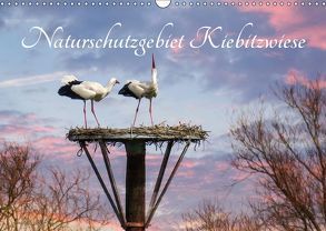 Naturschutzgebiet Kiebitzwiese (Wandkalender 2019 DIN A3 quer) von Störmer,  Roland