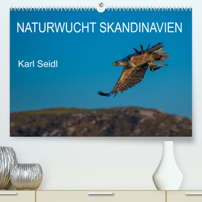 Naturwucht Skandinavien (Premium, hochwertiger DIN A2 Wandkalender 2023, Kunstdruck in Hochglanz) von Seidl,  Karl