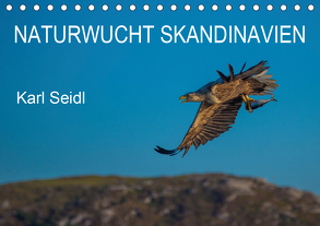 Naturwucht Skandinavien (Tischkalender 2020 DIN A5 quer) von Seidl,  Karl