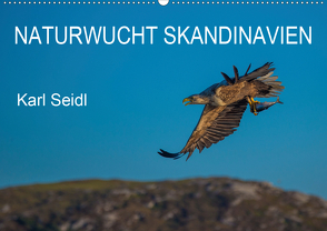 Naturwucht Skandinavien (Wandkalender 2020 DIN A2 quer) von Seidl,  Karl