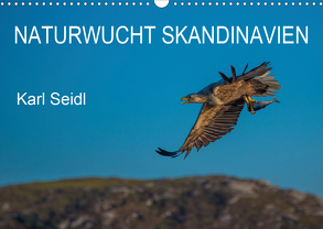 Naturwucht Skandinavien (Wandkalender 2020 DIN A3 quer) von Seidl,  Karl
