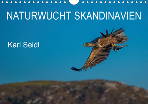Naturwucht Skandinavien (Wandkalender 2020 DIN A4 quer) von Seidl,  Karl