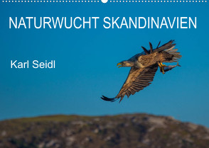 Naturwucht Skandinavien (Wandkalender 2023 DIN A2 quer) von Seidl,  Karl