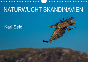 Naturwucht Skandinavien (Wandkalender 2023 DIN A4 quer) von Seidl,  Karl