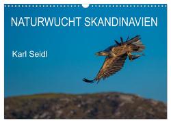 Naturwucht Skandinavien (Wandkalender 2024 DIN A3 quer), CALVENDO Monatskalender von Seidl,  Karl