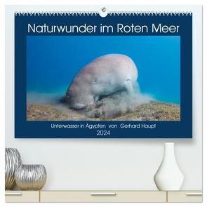 Naturwunder im Roten Meer (hochwertiger Premium Wandkalender 2024 DIN A2 quer), Kunstdruck in Hochglanz von Haupt,  Gerhard