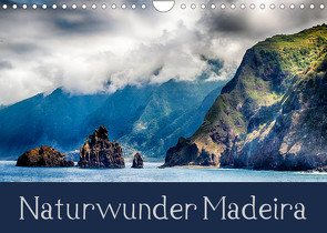Naturwunder Madeira (Wandkalender 2023 DIN A4 quer) von Werner Partes,  Hans