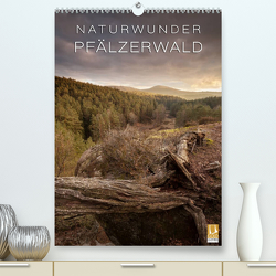NATURWUNDER PFÄLZERWALD (Premium, hochwertiger DIN A2 Wandkalender 2023, Kunstdruck in Hochglanz) von Krotofil,  Raik