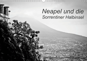 Neapel und die Sorrentiner Halbinsel (Wandkalender 2021 DIN A3 quer) von Reinecke,  Ina