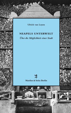 Neapels Unterwelt von Dreschke,  Anja, van Loyen,  Ulrich