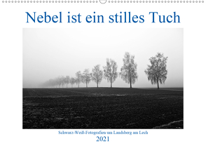 Nebel ist ein stilles Tuch – um Landsberg am Lech (Wandkalender 2021 DIN A2 quer) von Marten,  Martina