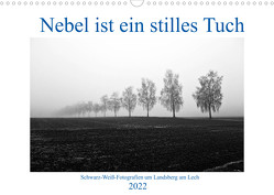 Nebel ist ein stilles Tuch – um Landsberg am Lech (Wandkalender 2022 DIN A3 quer) von Marten,  Martina