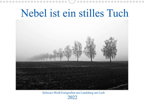 Nebel ist ein stilles Tuch – um Landsberg am Lech (Wandkalender 2022 DIN A3 quer) von Marten,  Martina