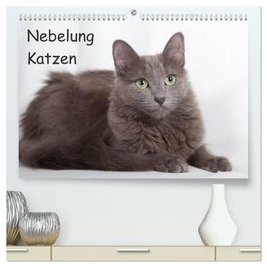 Nebelung Katzen (hochwertiger Premium Wandkalender 2024 DIN A2 quer), Kunstdruck in Hochglanz von Verena Scholze,  Fotodesign