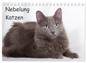 Nebelung Katzen (Tischkalender 2024 DIN A5 quer), CALVENDO Monatskalender von Verena Scholze,  Fotodesign