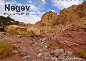NEGEV Wege in der Wüste (Wandkalender 2021 DIN A2 quer) von Rechberger,  Gabriele