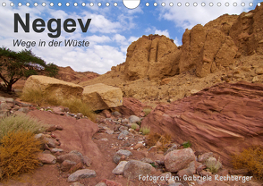 NEGEV Wege in der Wüste (Wandkalender 2021 DIN A4 quer) von Rechberger,  Gabriele