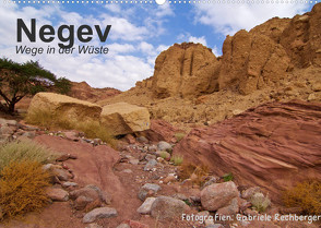 NEGEV Wege in der Wüste (Wandkalender 2022 DIN A2 quer) von Rechberger,  Gabriele