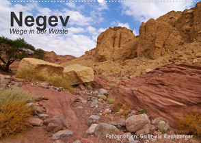 NEGEV Wege in der Wüste (Wandkalender 2023 DIN A2 quer) von Rechberger,  Gabriele