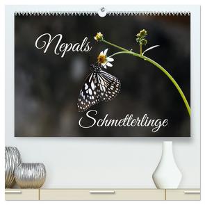 Nepals Schmetterlinge (hochwertiger Premium Wandkalender 2024 DIN A2 quer), Kunstdruck in Hochglanz von Hennighaußen,  Andreas