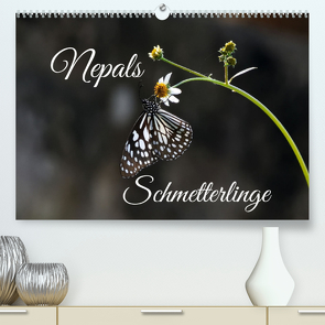 Nepals Schmetterlinge (Premium, hochwertiger DIN A2 Wandkalender 2023, Kunstdruck in Hochglanz) von Hennighaußen,  Andreas