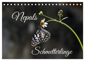 Nepals Schmetterlinge (Tischkalender 2024 DIN A5 quer), CALVENDO Monatskalender von Hennighaußen,  Andreas