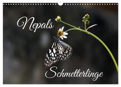 Nepals Schmetterlinge (Wandkalender 2024 DIN A3 quer), CALVENDO Monatskalender von Hennighaußen,  Andreas