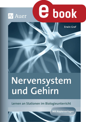 Nervensystem und Gehirn von Graf,  Erwin