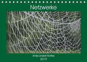 Netzwerke (Tischkalender 2019 DIN A5 quer) von Lindert-Rottke,  Antje