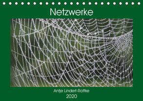 Netzwerke (Tischkalender 2020 DIN A5 quer) von Lindert-Rottke,  Antje