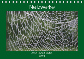 Netzwerke (Tischkalender 2021 DIN A5 quer) von Lindert-Rottke,  Antje