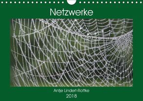 Netzwerke (Wandkalender 2018 DIN A4 quer) von Lindert-Rottke,  Antje