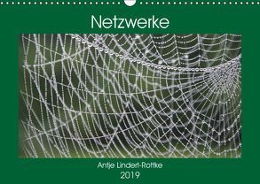 Netzwerke (Wandkalender 2019 DIN A3 quer) von Lindert-Rottke,  Antje