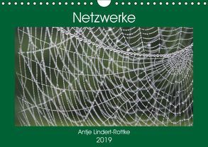 Netzwerke (Wandkalender 2019 DIN A4 quer) von Lindert-Rottke,  Antje
