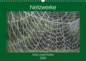 Netzwerke (Wandkalender 2020 DIN A3 quer) von Lindert-Rottke,  Antje