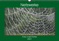 Netzwerke (Wandkalender 2021 DIN A3 quer) von Lindert-Rottke,  Antje