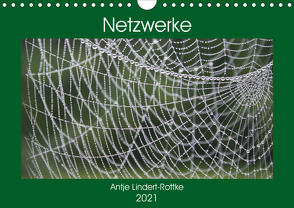 Netzwerke (Wandkalender 2021 DIN A4 quer) von Lindert-Rottke,  Antje