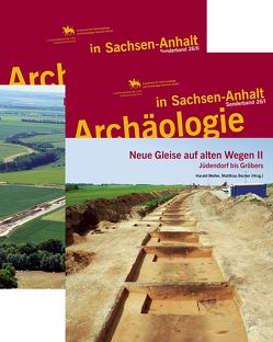 Neue Gleise auf alten Wegen II: Jüdendorf bis Gröbers (Archäologie in Sachsen Anhalt / Sonderb.) 26 von Becker,  Matthias, Meller,  Harald