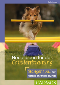 Neue Ideen für das Cavalettitraining von Rumpf,  Steffi