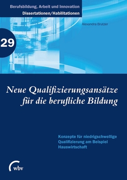 Neue Qualifizierungsansätze für die berufliche Bildung von Brutzer,  Alexandra
