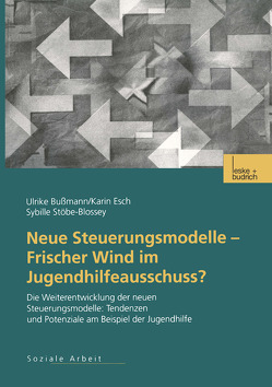 Neue Steuerungsmodelle — Frischer Wind im Jugendhilfeausschuss? von Bussmann,  Ulrike, Esch,  Karin, Stöbe-Blossey,  Sybille