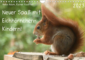 Neuer Spaß mit Eichhörnchen-Kindern (Wandkalender 2023 DIN A4 quer) von Adam,  Heike