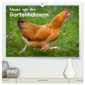Neues von den Gartenhühnern (hochwertiger Premium Wandkalender 2024 DIN A2 quer), Kunstdruck in Hochglanz von Berkenkamp,  Britta