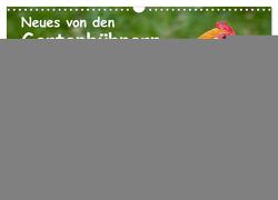Neues von den Gartenhühnern (Wandkalender 2024 DIN A3 quer), CALVENDO Monatskalender von Berkenkamp,  Britta