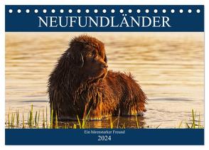 Neufundländer – Ein bärenstarker Freund (Tischkalender 2024 DIN A5 quer), CALVENDO Monatskalender von Starick,  Sigrid