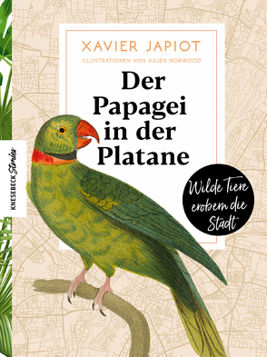 Der Papagei in der Platane von Arlinghaus,  Claudia, Japiot,  Xavier, Norwood,  Julien