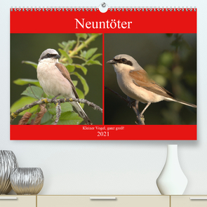 Neuntöter – Kleiner Vogel, ganz groß! (Premium, hochwertiger DIN A2 Wandkalender 2021, Kunstdruck in Hochglanz) von Andreas Lederle,  Kevin