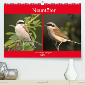 Neuntöter – Kleiner Vogel, ganz groß! (Premium, hochwertiger DIN A2 Wandkalender 2022, Kunstdruck in Hochglanz) von Andreas Lederle,  Kevin