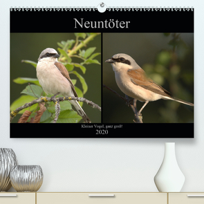 Neuntöter – Kleiner Vogel, ganz groß! (Premium, hochwertiger DIN A2 Wandkalender 2020, Kunstdruck in Hochglanz) von Andreas Lederle,  Kevin